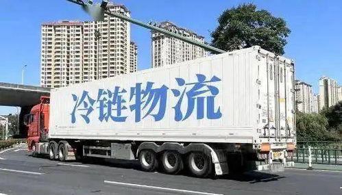 價(jià)值鏈再造視角下的農(nóng)產(chǎn)品冷鏈物流發(fā)展淺析